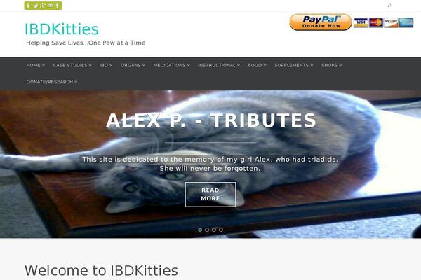Nirvana theme site design template sample