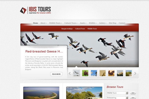 ElegantEstate theme site design template sample