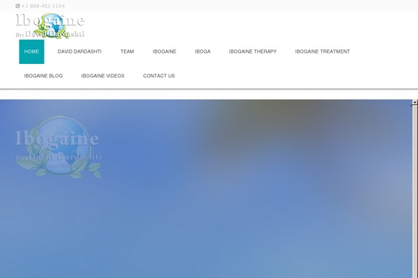 Wpl-picasso theme site design template sample