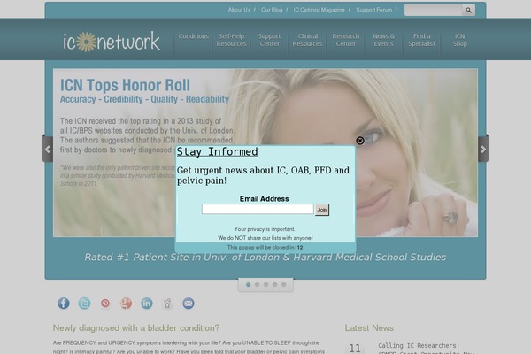 desire_wp theme websites examples