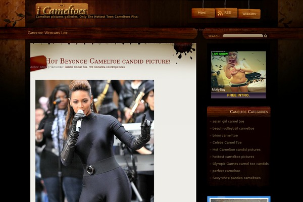 Blakmagik theme site design template sample
