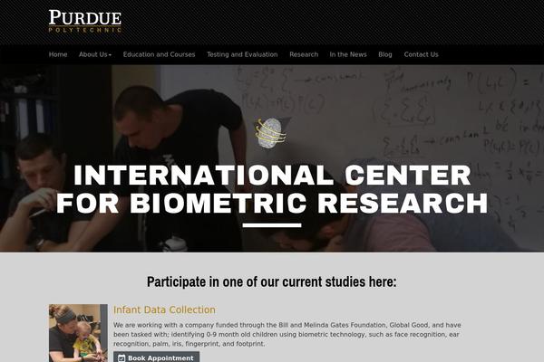 Magazino theme site design template sample