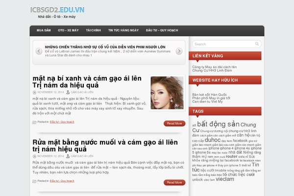 icbsgd2.com.vn site used Levels