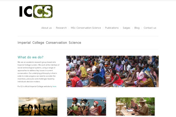 Site using Brankic Twitter Widget plugin
