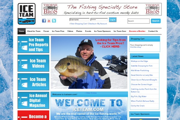 iceteam.com site used Prodesign