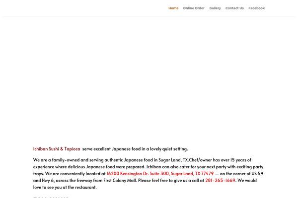 Divi theme site design template sample