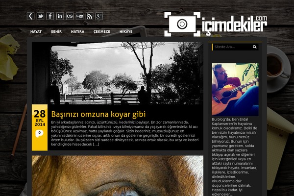 365life theme site design template sample