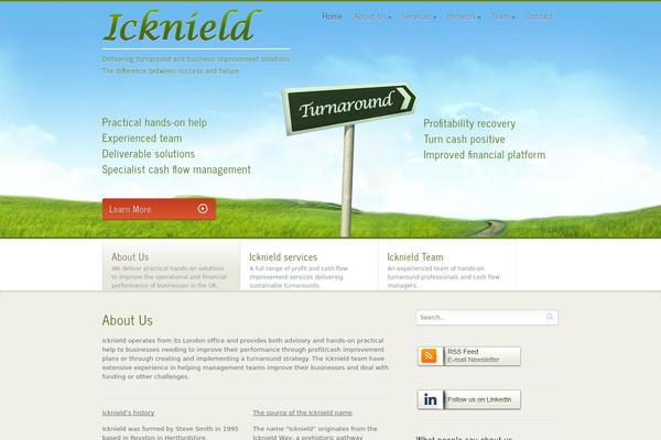 Biznizz theme site design template sample