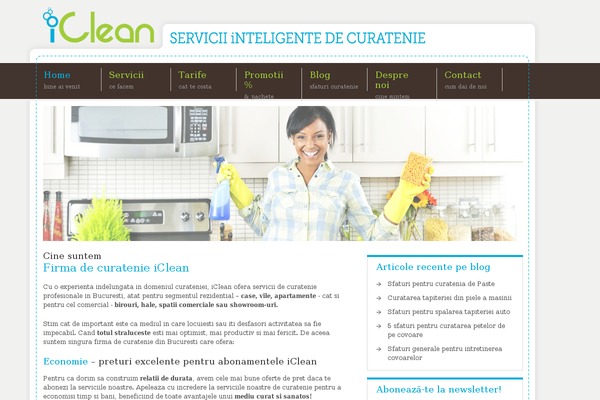 Centita theme site design template sample