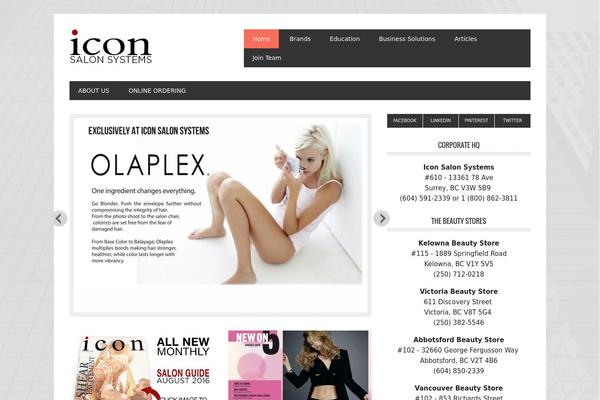 Metro Pro theme site design template sample