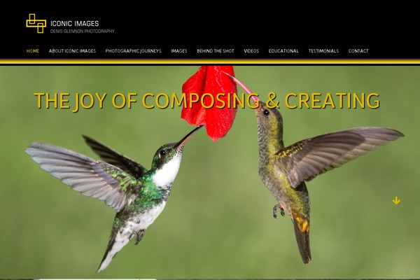 Canvas5 theme site design template sample