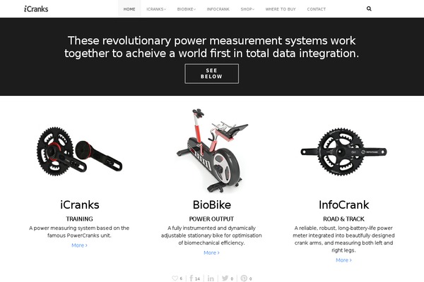DMS theme site design template sample
