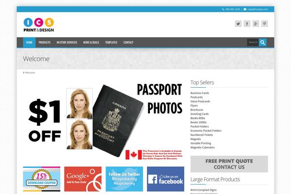Alterna theme site design template sample