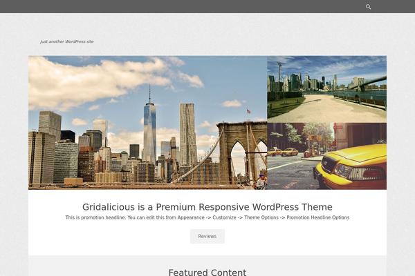 Silver Quantum theme site design template sample