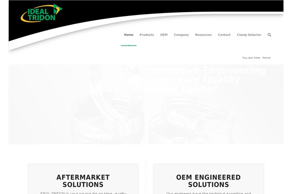 Enfold theme site design template sample