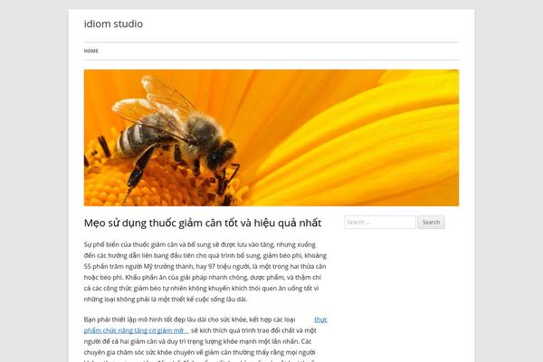 idiomstudio.com site used Tiny Framework