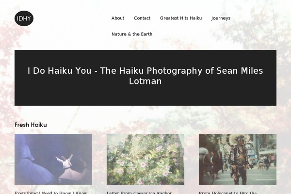 Modern Portfolio theme site design template sample