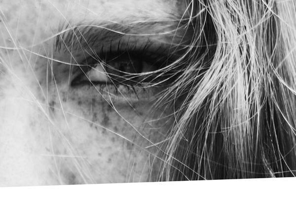 Enfold theme site design template sample