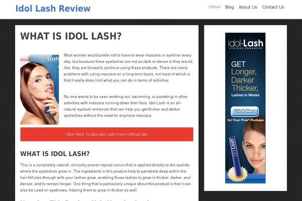 Focusblog theme site design template sample