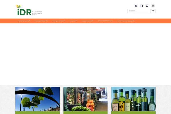 idr.org.ar site used Idr
