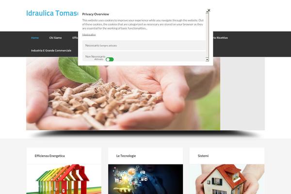 Enterprise Pro theme site design template sample