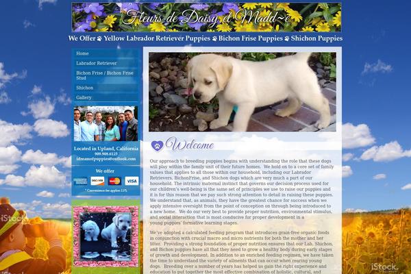 idreamofpuppies.com site used Customdesign