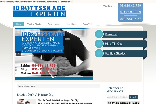 Ellen-mae theme site design template sample