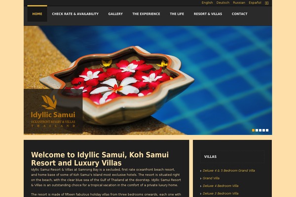 Spalon theme site design template sample