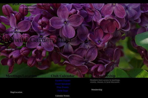 Site using Brizy-pro plugin