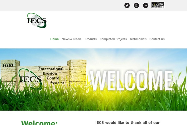 Capture theme site design template sample