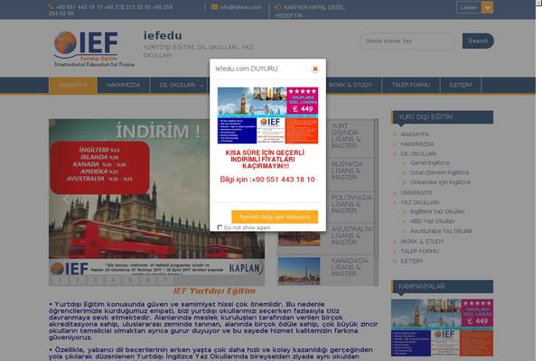 Site using Wp-news-sliders plugin