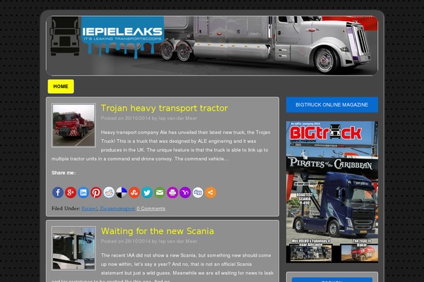 Site using Super Socializer plugin