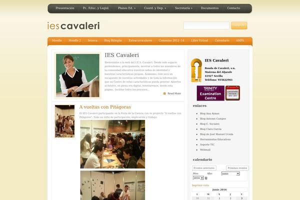 Site using Bookings plugin