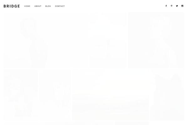 Bridge theme site design template sample