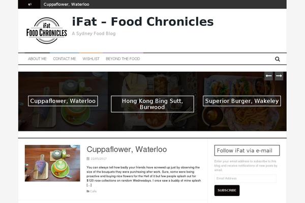 FlyMag theme site design template sample