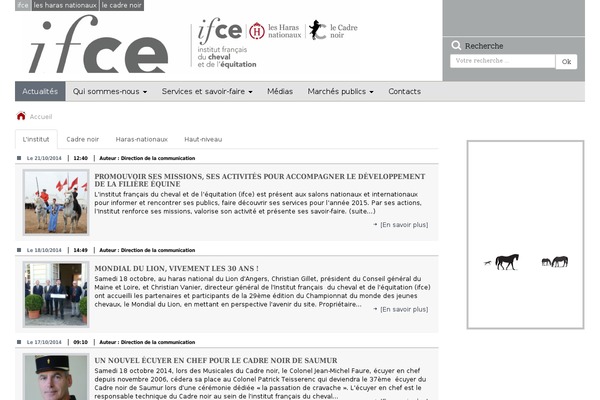 tg-ifce theme websites examples