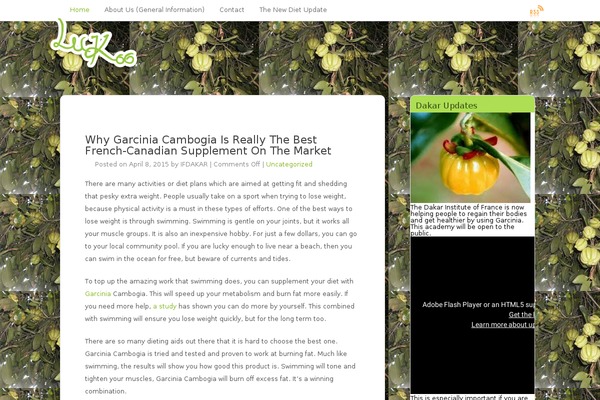 LuKoo theme site design template sample
