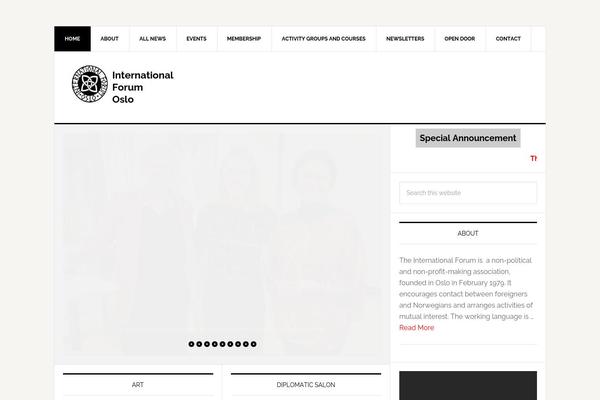 News Pro theme site design template sample