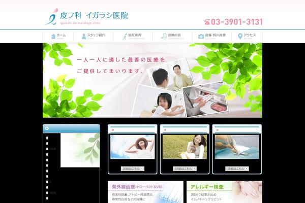 igarashi-iin.com site used Igarashi