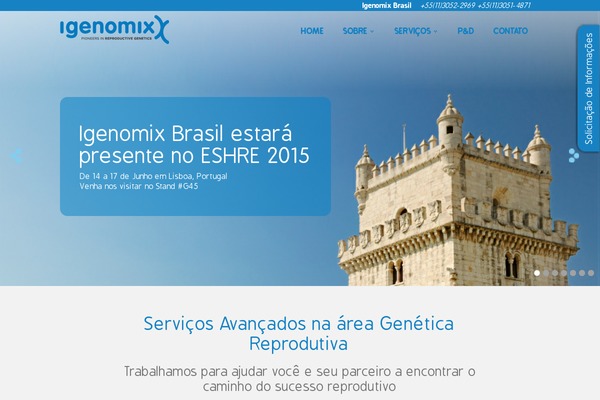 ivigen theme websites examples