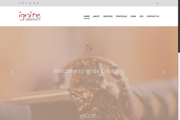 Site using Aksh Mailchimp Widget plugin