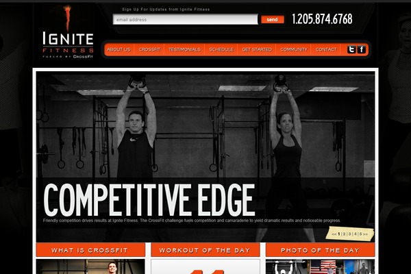 Ignite theme site design template sample