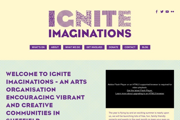 Ignite theme site design template sample