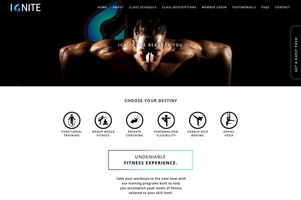 Ignite theme site design template sample
