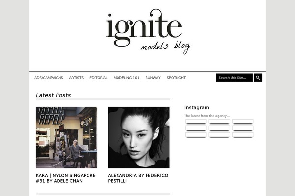 flow-child theme websites examples