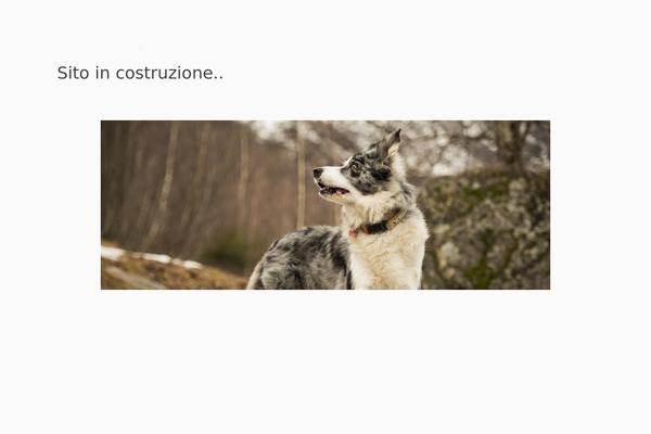 Roneous theme site design template sample