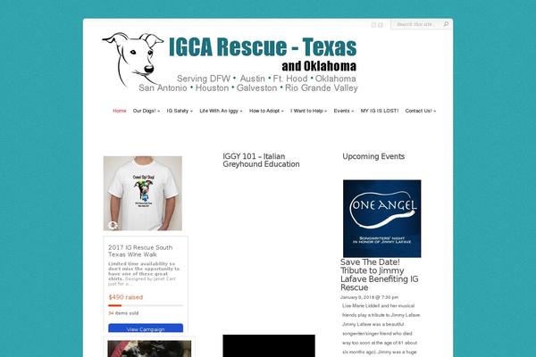 Chameleon theme site design template sample