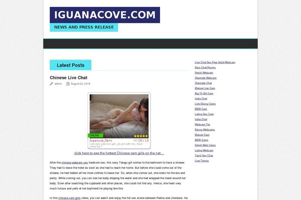BrightNews theme site design template sample