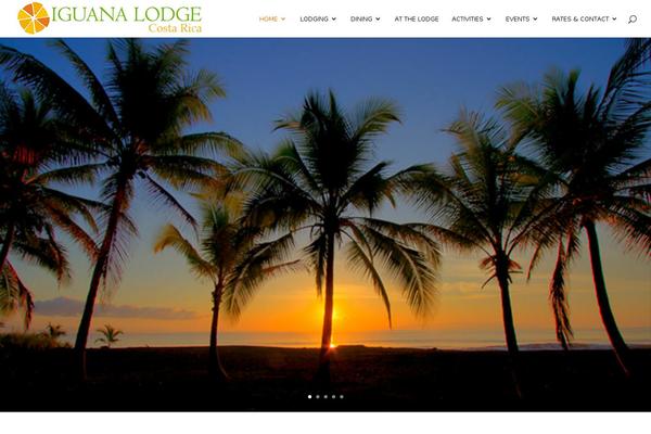 Divi Child theme site design template sample