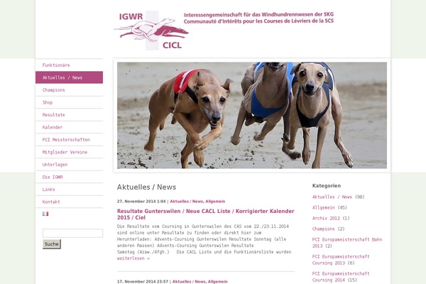 Site using Category Posts Widget plugin